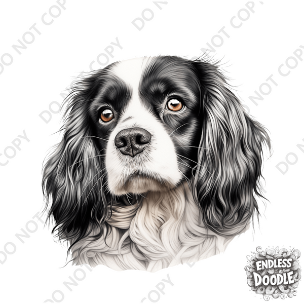 Cavalier King Charles Spaniel Dog DTF Transfer Gift Iron On Transfer Do it Yourself Heat Press for Clothing T Shirt Any Material Long Lasting (KCCS025)