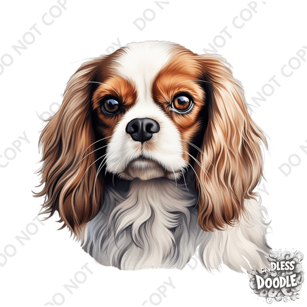 Cavalier King Charles Spaniel Dog DTF Transfer Gift Iron On Transfer Do it Yourself Heat Press for Clothing T Shirt Any Material Long Lasting (KCCS048)