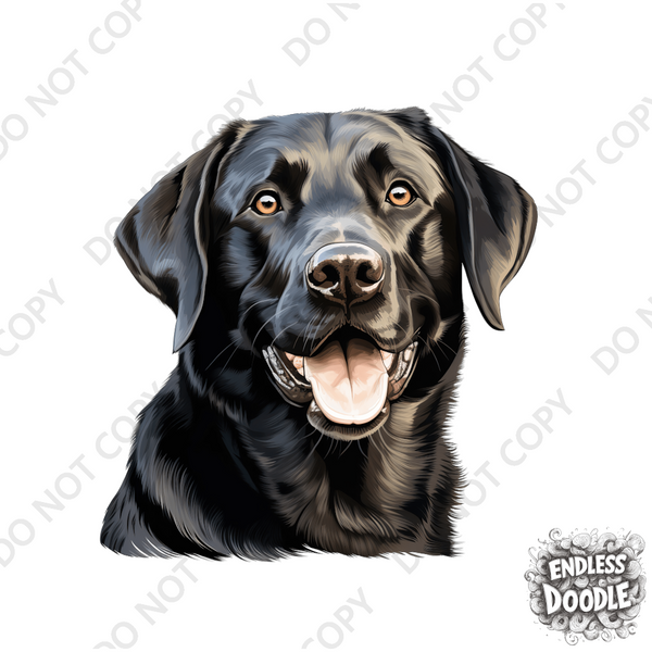 Labrador Dog DTF Transfer Gift Iron On Transfer Do it Yourself Heat Press Hot Cold Peel for Clothing T Shirt Any Material Long Lasting (LABBLK001)