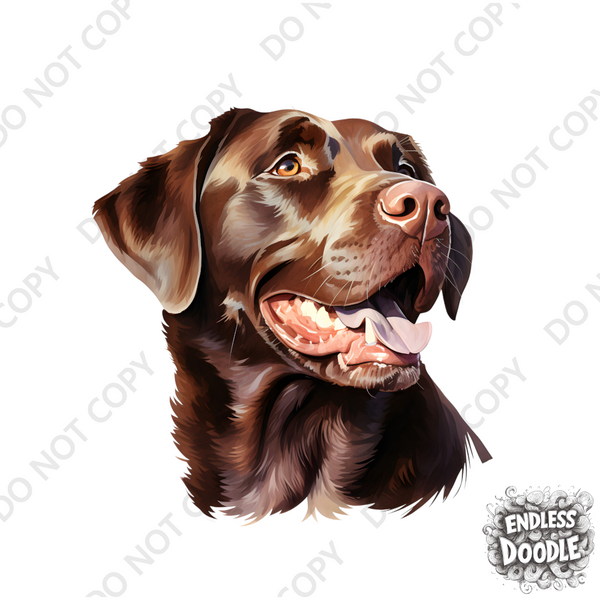 Labrador Dog DTF Transfer Gift Iron On Transfer Do it Yourself Heat Press Hot Cold Peel for Clothing T Shirt Any Material Long Lasting (LABCHOC005)