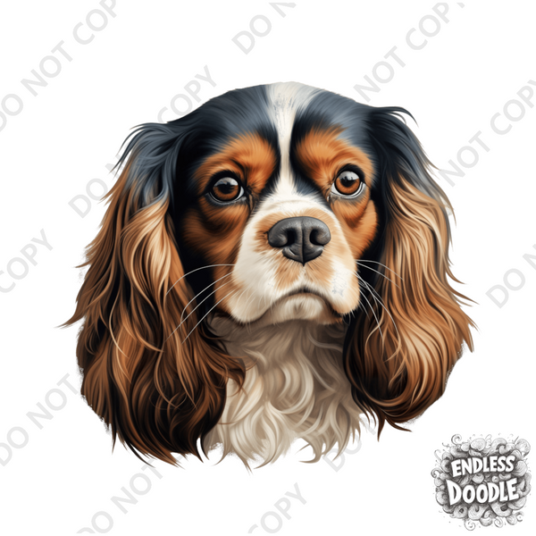 Cavalier King Charles Spaniel Dog DTF Transfer Gift Iron On Transfer Do it Yourself Heat Press for Clothing T Shirt Any Material Long Lasting (KCCS044)