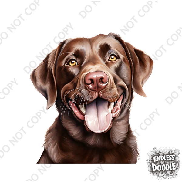 Labrador Dog DTF Transfer Gift Iron On Transfer Do it Yourself Heat Press Hot Cold Peel for Clothing T Shirt Any Material Long Lasting (LABCHOC008)