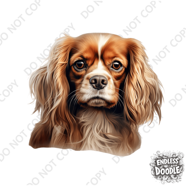 Cavalier King Charles Spaniel Dog DTF Transfer Gift Iron On Transfer Do it Yourself Heat Press for Clothing T Shirt Any Material Long Lasting (KCCS035)