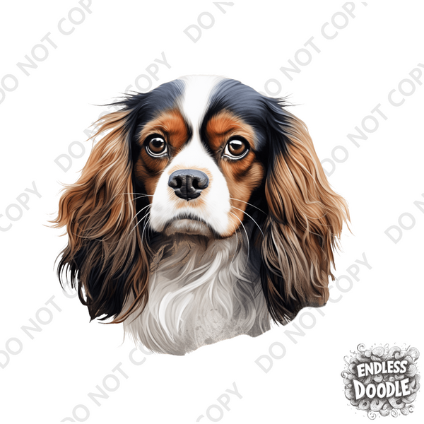 Cavalier King Charles Spaniel Dog DTF Transfer Gift Iron On Transfer Do it Yourself Heat Press for Clothing T Shirt Any Material Long Lasting (KCCS041)