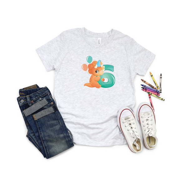 6th Birthday Boy Six Year Old - T Rex Kids DTF Transfer - Gift Do it Yourself Iron On Heat Press Shirt Any Material Long Lasting Full Colour