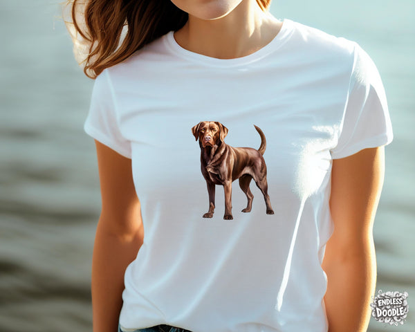 Labrador Dog DTF Transfer Gift Iron On Transfer Do it Yourself Heat Press Hot Cold Peel for Clothing T Shirt Any Material Long Lasting (LABCHOC004)