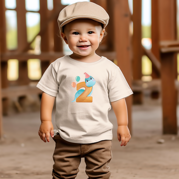 2nd Birthday Boy Two Year Old - T Rex Kids DTF Transfer - Gift Do it Yourself Iron On Heat Press Shirt Any Material Long Lasting Full Colour